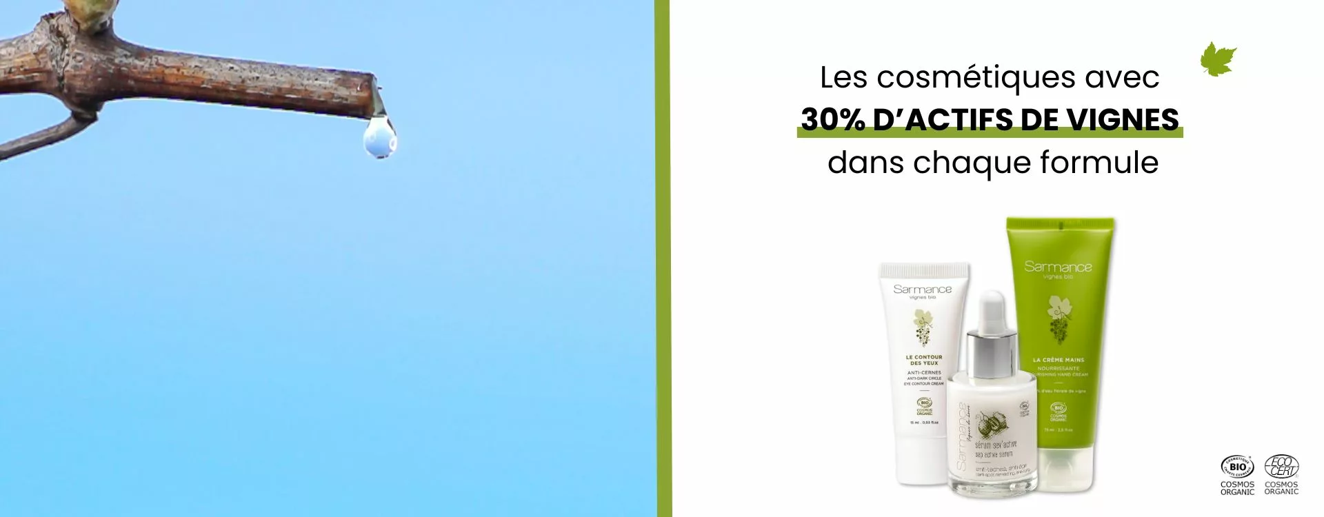 Bandeau_Sarmance_Mars2025 (3)
