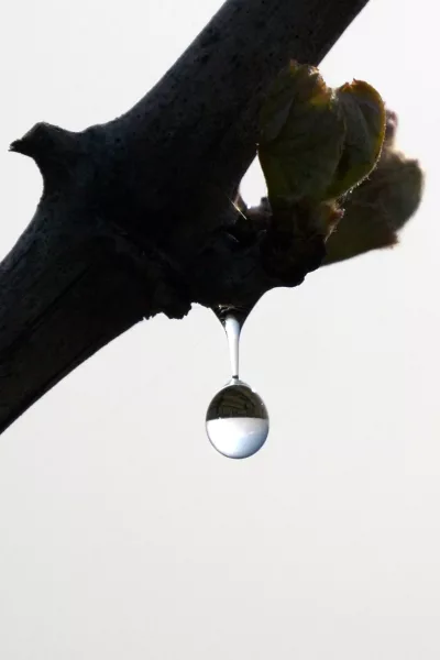 260323.00_21_07_23.Still014