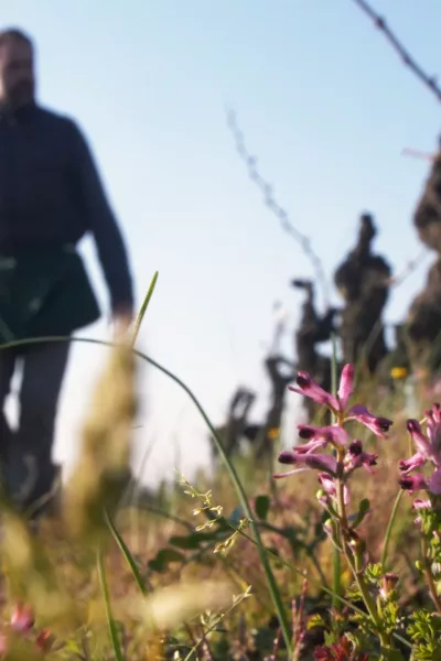 P1499320.00_06_08_35.Still001